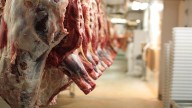 MP News: Six Held For Transporting Beef In Bhopal's Parwalia Area