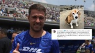 Aaron Ramsey, jugador de Pumas, pide ayuda para encontrar a su perrito que desapareció en San Miguel de Allende Guanajuato
