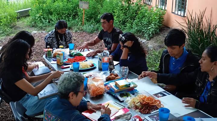 Drinks & Draw: El concepto ecológico y artístico en el jardín de polinizadores de Cuautla