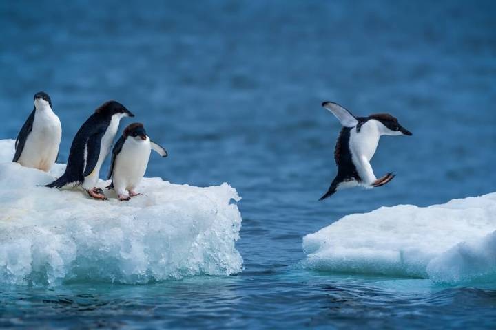 NTFSplus is a new read-write NTFS driver for Linux • The Register