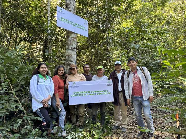 ‘Juntos por los Bosques’: Proyecto amazónico se consolida en el mercado global de carbono con apoyo de Singapur