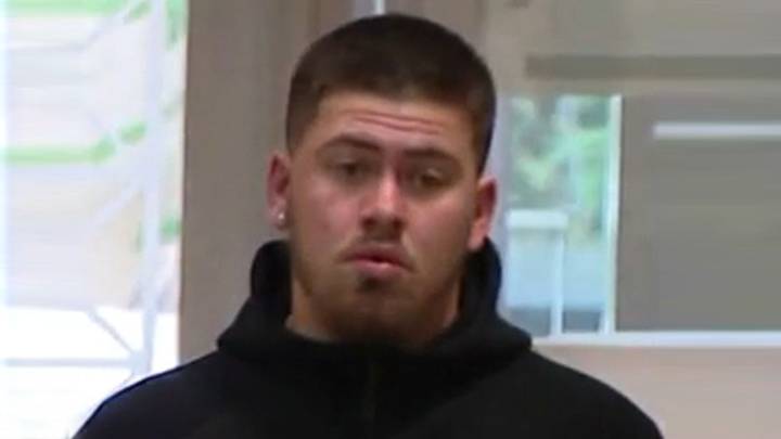 Baseball fan, 21, who was left 'fighting for his life' after plunging 21ft from stands is hit with 'prowling' charge