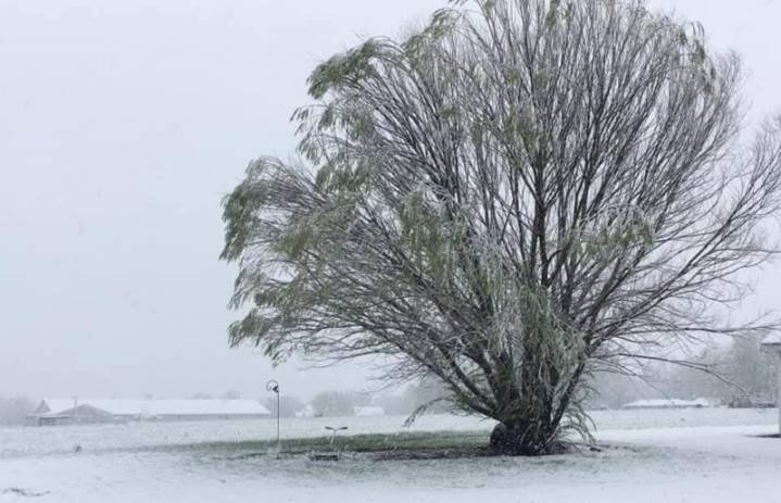 Missouri’s cold weather rule in effect for investor