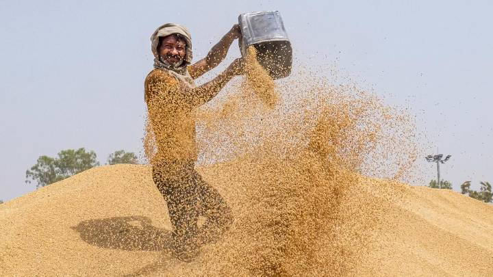 Cabinet hikes wheat MSP by ₹160 per quintal to ₹2,585