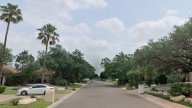 Jardinero muere por un infarto en lo alto de una palmera; queda colgado de sus correas de seguridad