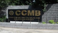 Indian Sindhi DNA is distinct from Pakistani counterparts, finds CCMB study
