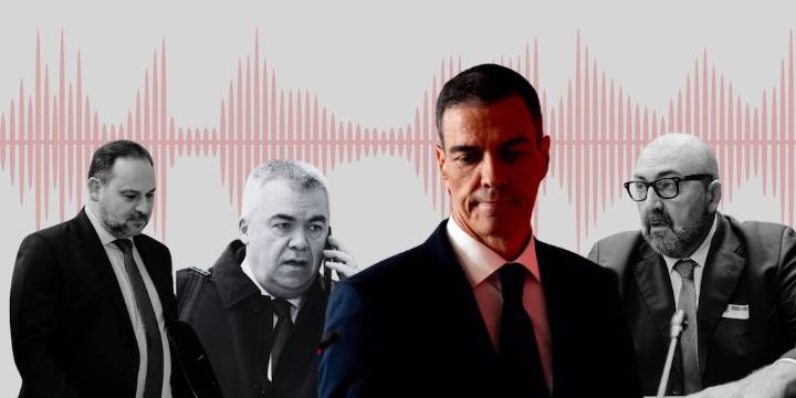 Pedro Sánchez comparece en el Senado por el caso Koldo, en directo | Rifirrafe entre Sánchez y el presidente de la Comisión: “Es un sarcasmo” - Infobae