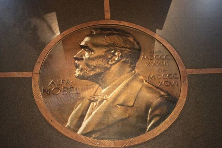 El Premio Nobel de Fisiología y Medicina 2025 es para Mary E. Brunkow, Fred Ramsdell y Shimon Sakaguchi