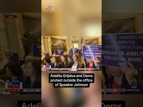 Dems protest outside the office of Speaker Johnson