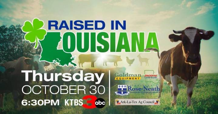 Raised In Louisiana special shines spotlight on students competing in ALTAC Jr. Livestock Sale