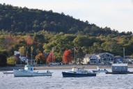 The last of Maine’s fall foliage is turning