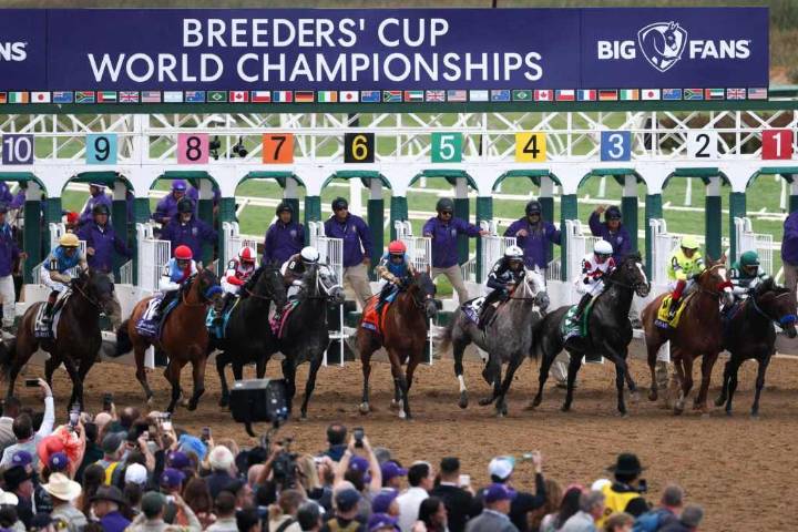 Breeders’ Cup: 10 things to know about this week’s races at Del Mar