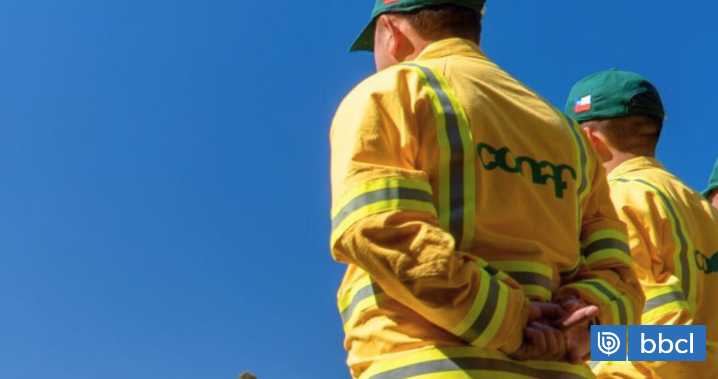 Conaf prohíbe el uso de fuego para faenas agrícolas y forestales en toda la provincia del Bío Bío
