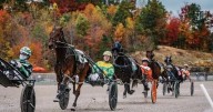 Celebrating 3 years of live harness racing fun at Cumberland Run