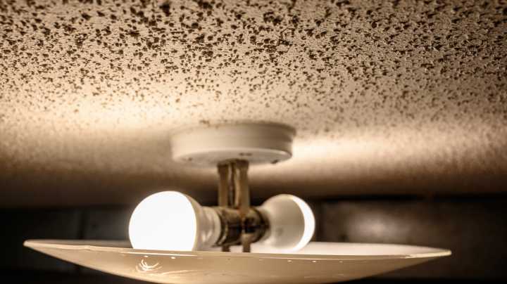 Want To Remove Your Popcorn Ceiling? Here's What It Will Cost You