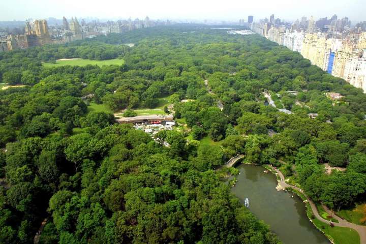 La UICN destaca que el futuro de la conservación de la naturaleza también pasa por las grandes urbes