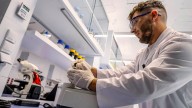 FOTOS | Así son los nuevos laboratorios de la UIB para investigar enfermedades como el cáncer o los ictus
