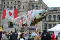 Island highway widening protesters bring Goldstream fight to B.C. capital