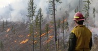 Prescribed fire season underway in Northwest Montana