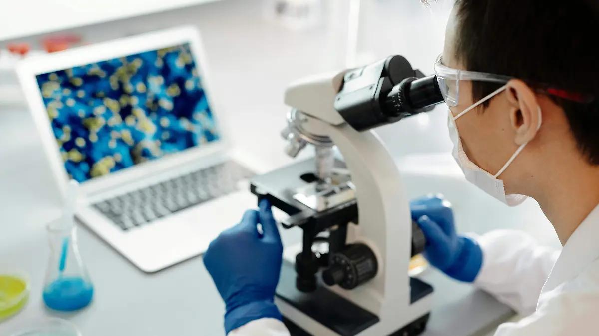 Crean óvulos fecundables con células de la piel utilizando técnica de clonación de la oveja “Dolly”