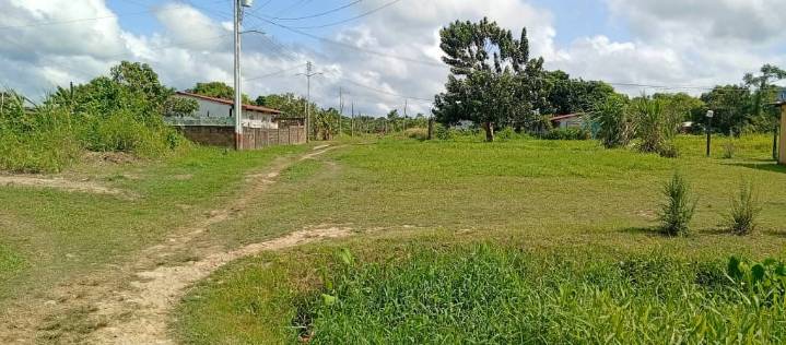 Hallan cadáver de mujer en estado de descomposición