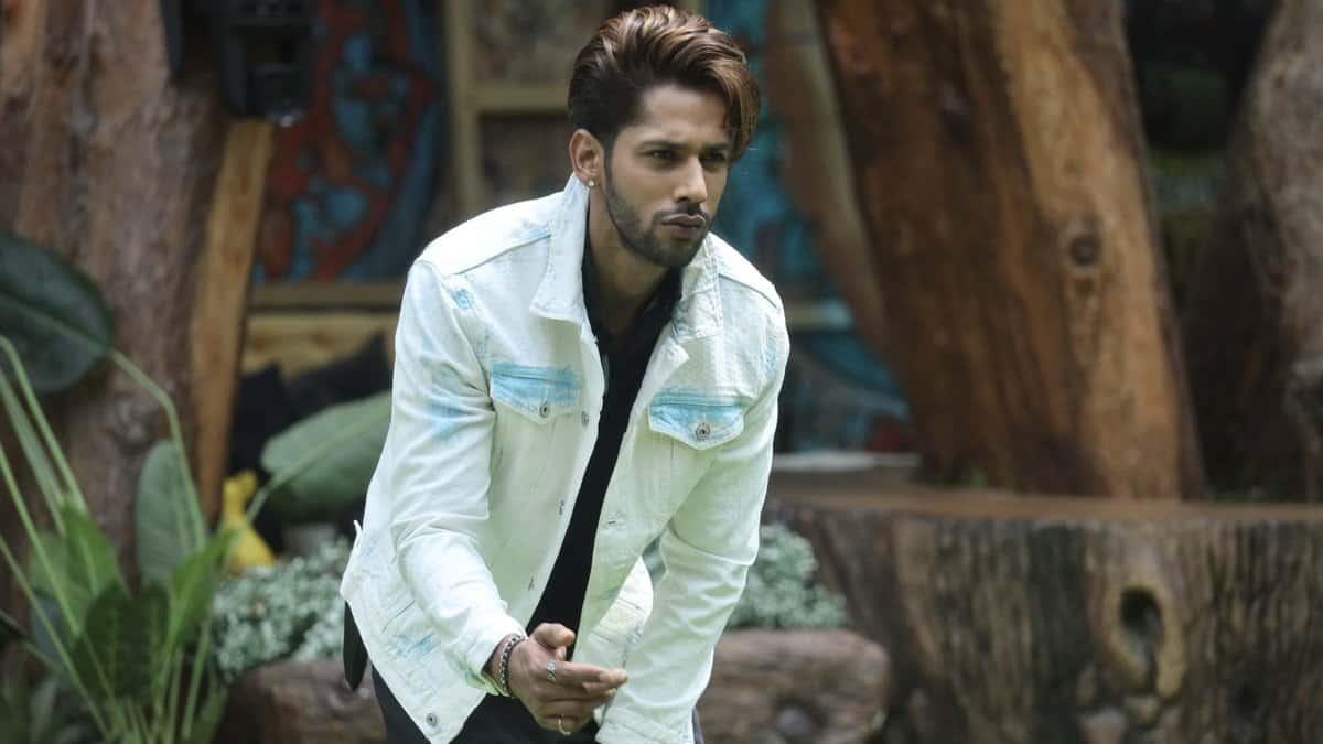 Exclusive: Is Baseer Ali out from Bigg Boss 19 in double eviction?