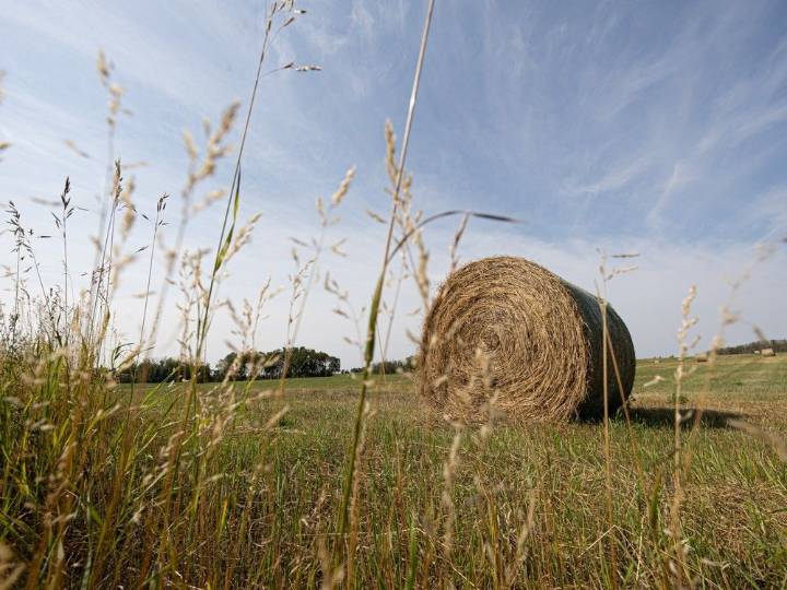 Saskatchewan 'got ahead of itself' in bid to auction off Crown land: FSIN