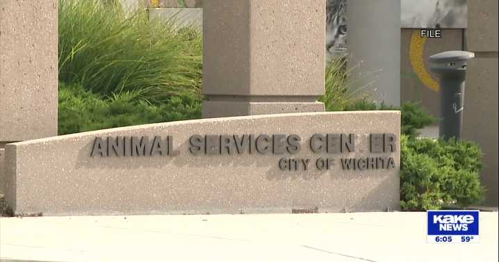 Wichita animal rescue groups say lack of money is leading to more pet surrenders