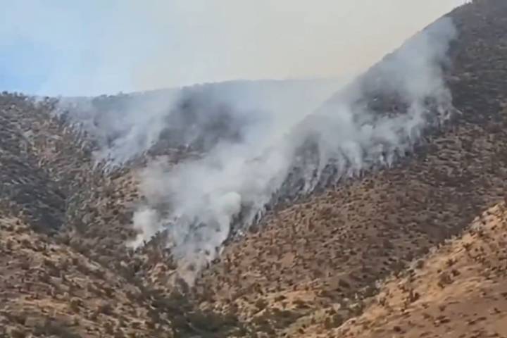Incendio forestal afecta al sector de Túnel Lo Prado en Curacaví: hay 90 hectáreas dañadas