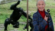 Jane Goodall reveals how she wants to be remembered in Netflix series