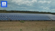 Cheap energy driven by rooftop solar means larger solar farms could be unviable