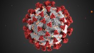 Time to take your shot? COVID-19 vaccines are back in Georgia
