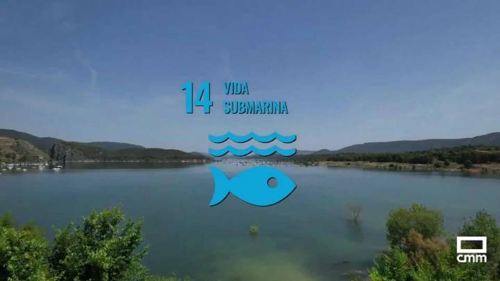 Sacedón, 14º objetivo de desarrollo sostenible: vida submarina