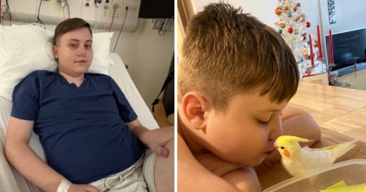 Scots youngster diagnosed with lung disease caused by pet parrots