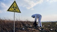What Do We Know About Indonesia's Radioactive Contamination? World News
