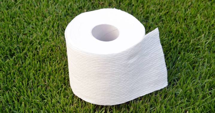 UK households told to put cardboard loo rolls in gardens in October
