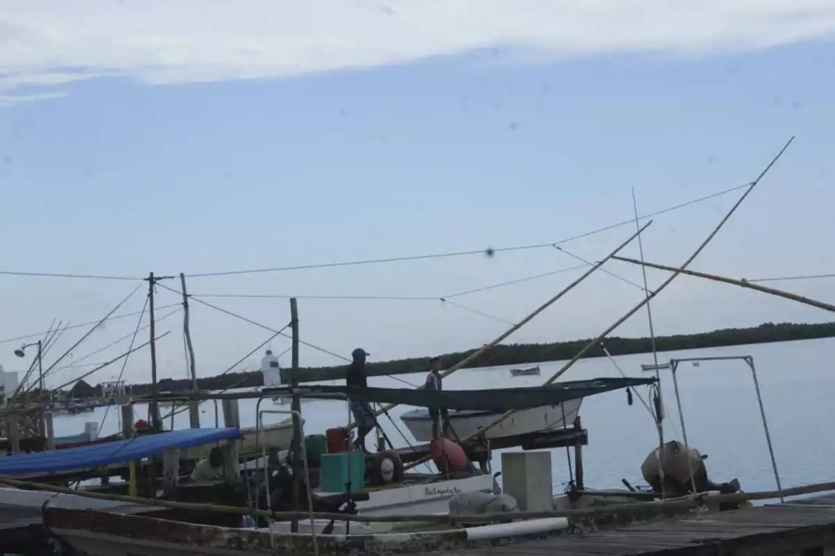 Cierran puertos a la navegación en Yucatán por la zona de Baja Presión en el Golfo