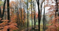 6 fall hikes in and around Atlanta to help color your world