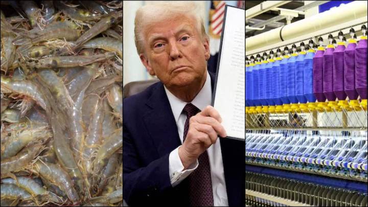 Textile, shrimp stocks rise up to 4% after Trump hints at trade deal with India soon