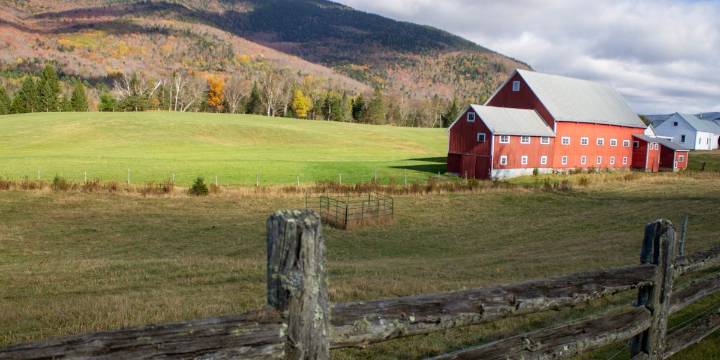 'The color is just not going to be there this year for some hillsides': Autumn leaf peeping pegged back by drought, climate change