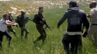 Increasing Israeli settler violence against Palestinian farmers raises concern with UN human rights office