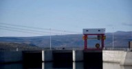 Licitación de las represas: habló la secretaria de Energía a horas de que se conozcan las ofertas