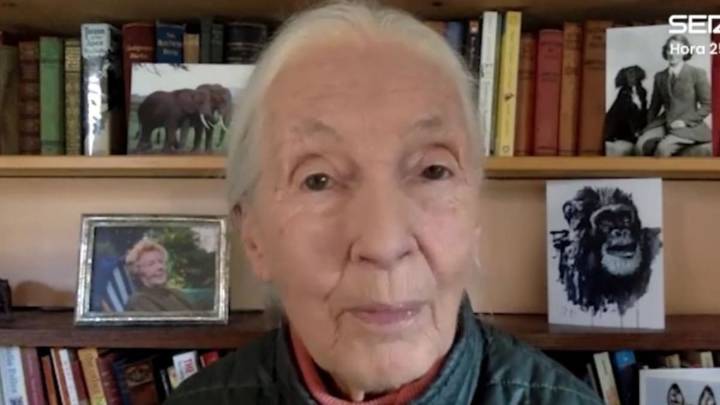 ARCHIVO HORA 25 | Jane Goodall: "Cada animal es un ser individual que siente miedo"