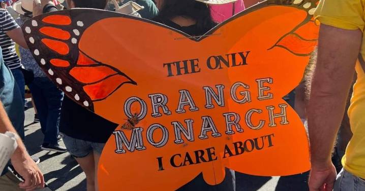 "No Kings Day" demonstrations attract thousands across L.A.