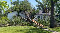 Federal Disaster Loans Now Available for June 21 Wind Storm Damages