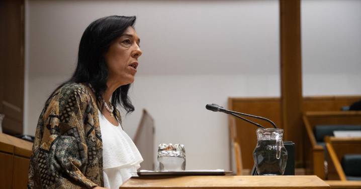 El Parlamento vasco rechaza la moción de Vox que pedía contundencia ante el «acoso» a la Policía y la «propaganda proetarra»