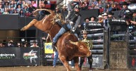 Billings welcomes 31st consecutive year as PBR’s longest