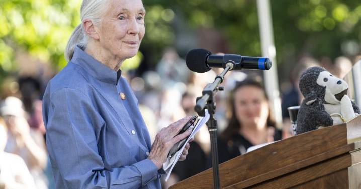 Jane Goodall, British primatologist, ethologist, and anthropologist dies at 91