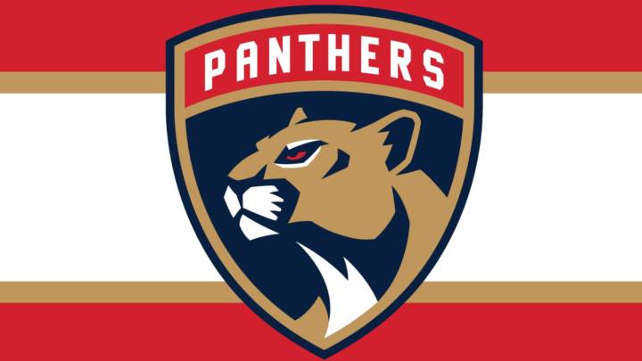 A ton of ejections. A goal taken away 15 minutes later. Panthers