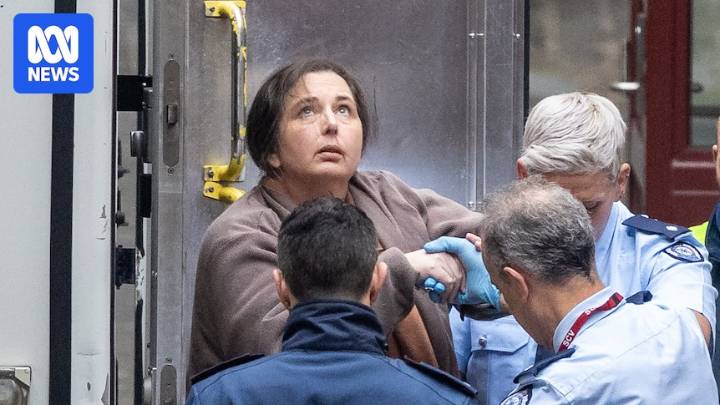 Victorian judge wrong about Erin Patterson's solitary confinement prospects, prosecutors say